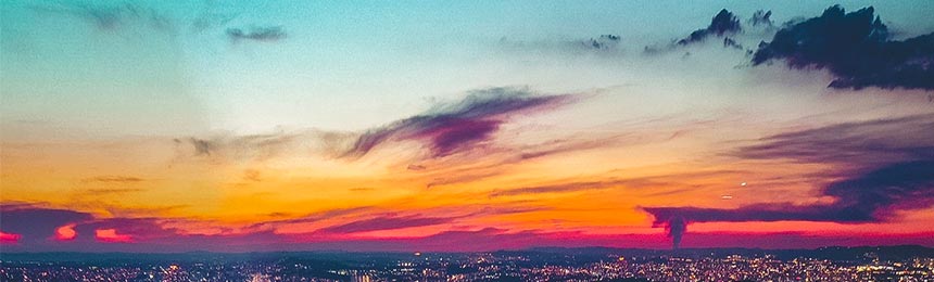 海北茶虫网_海北品茶